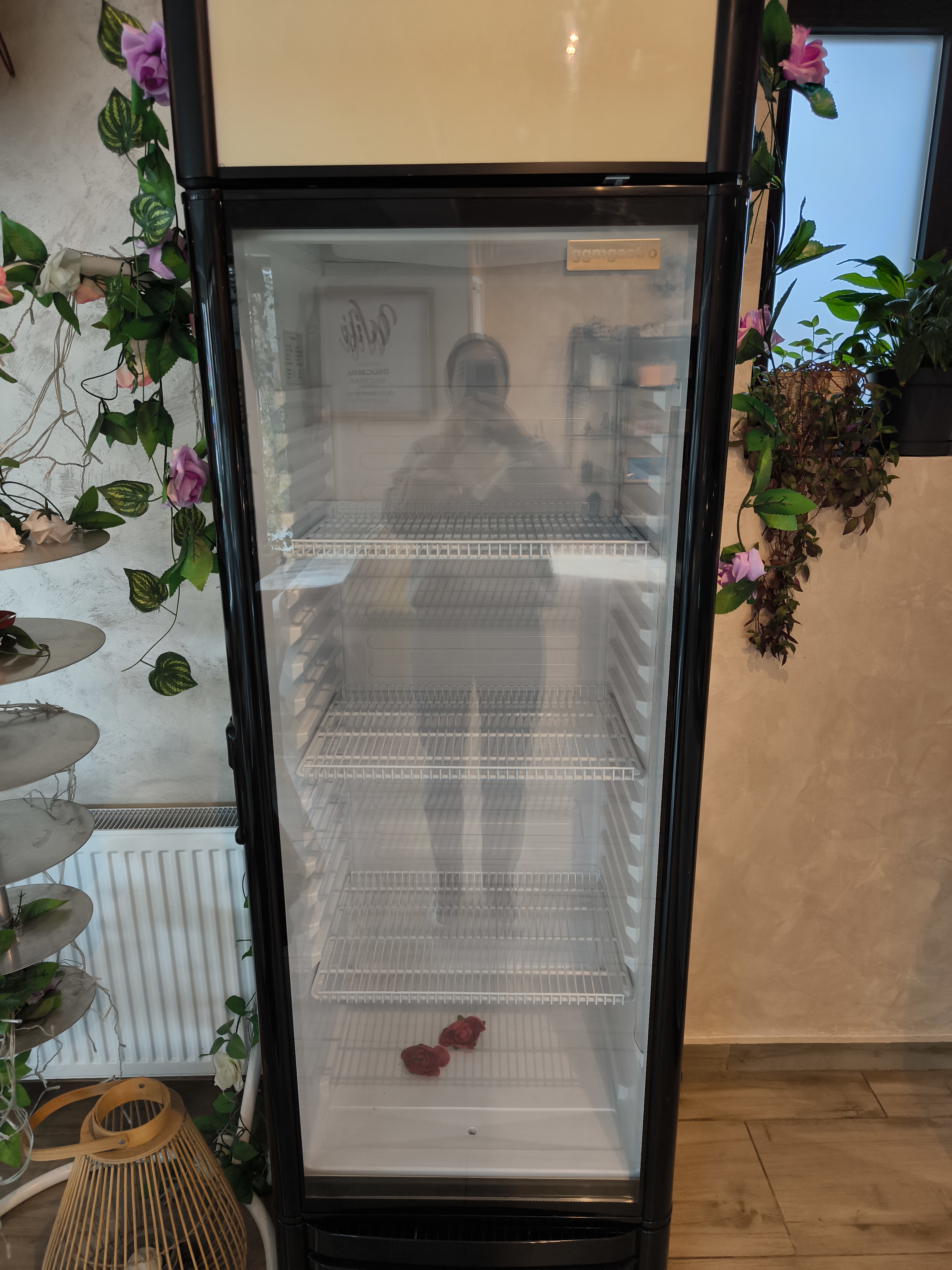 Frigider profesional GGM Gastro 