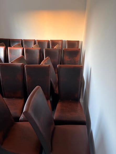 Scaune piele - Imagine 2