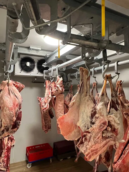 Camere frigorifice profesionale NOI | Montaj si transport inclus | Refrigerare si congelare | Diverse dimensiuni - Imagine 2