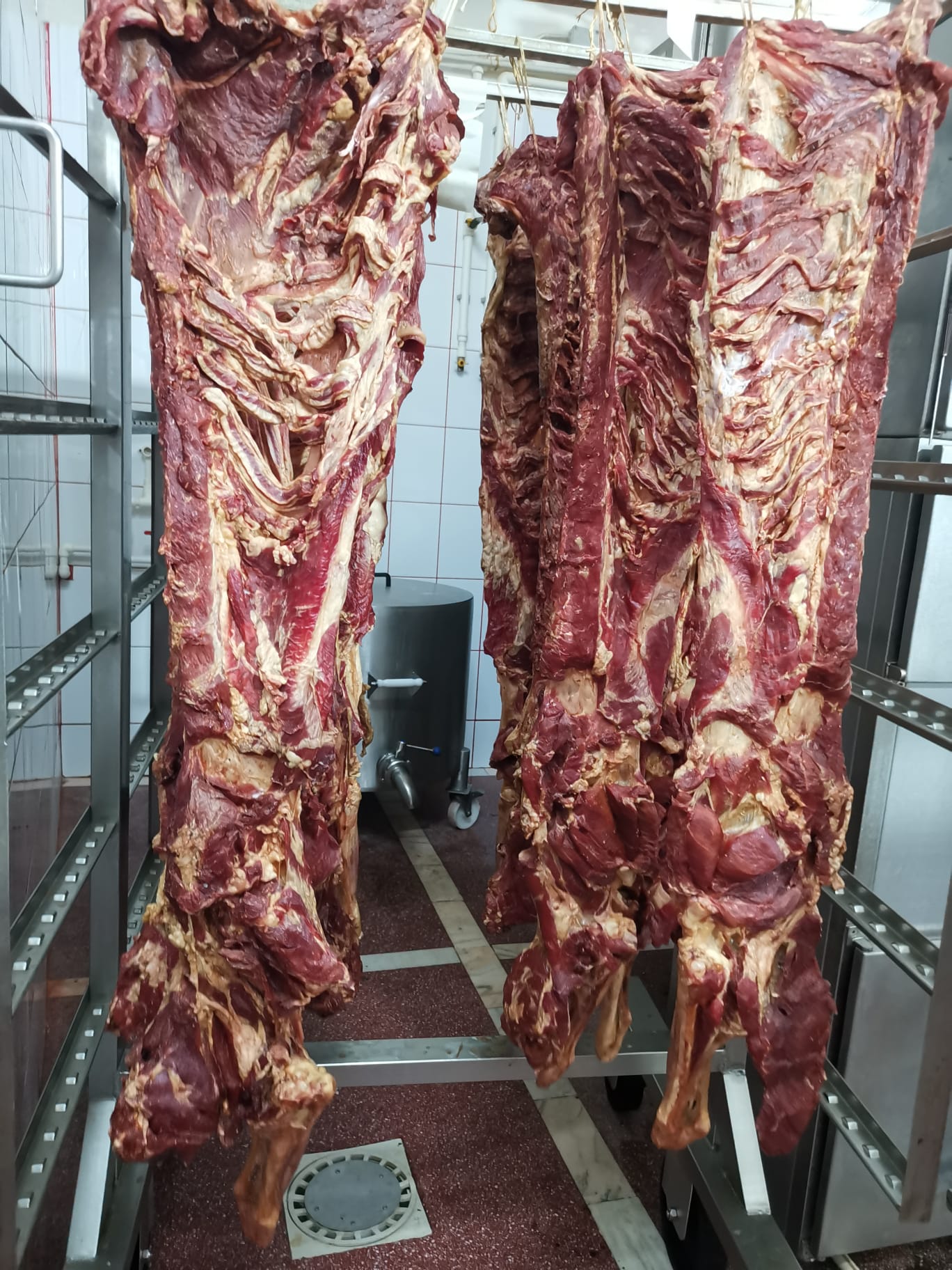 Carne de vita proaspata – productie proprie pentru HoReCa, macelarii si distribuitori