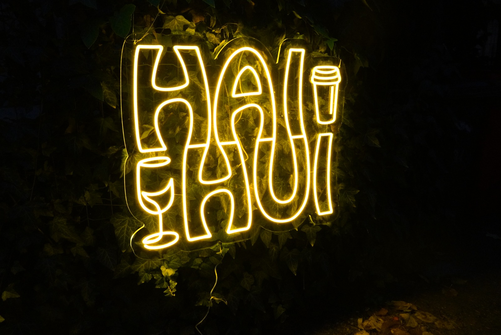 Reclama luminoasa LED Neon HAI HUI – Pahar Vin si Microfon pentru Bar, Pub, Club