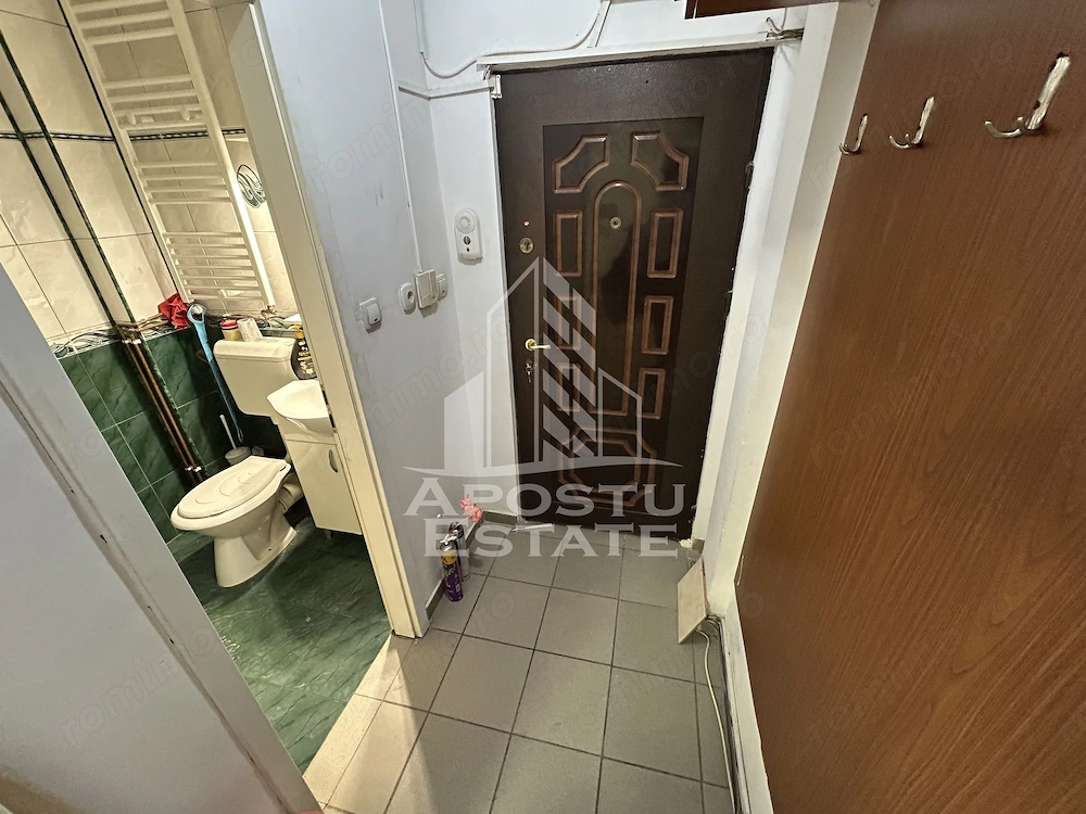 Spatiu HoReCa de Vanzare Timisoara – 32 mp, Sagului Piata Doina