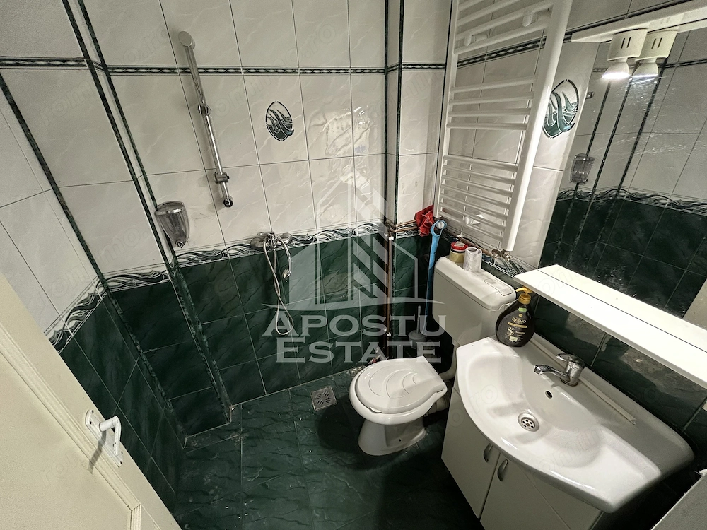 Spatiu HoReCa de Vanzare Timisoara – 32 mp, Sagului Piata Doina - Imagine 4