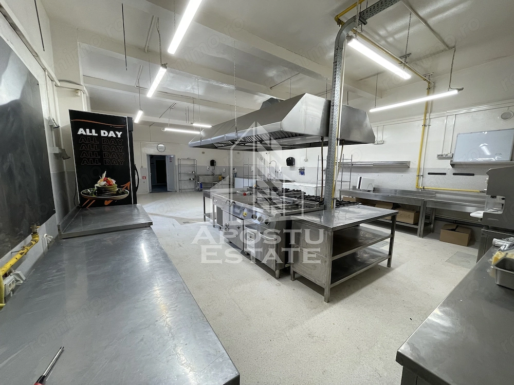 Bucatarie Profesionala de Inchiriat Timisoara – Utilata, Aviz DSV, Catering - Imagine 4