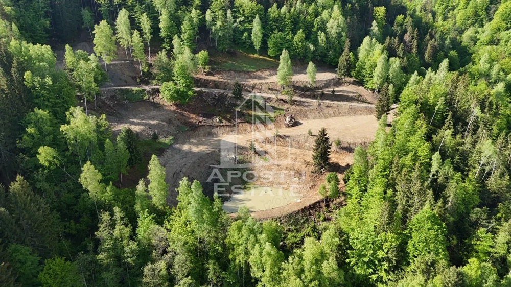 Teren pentru Resort, Glamping sau Cabane de Vanzare Lupeni – 18.000 mp cu Lac