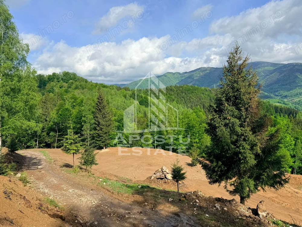 Teren pentru Resort, Glamping sau Cabane de Vanzare Lupeni – 18.000 mp cu Lac - Imagine 2