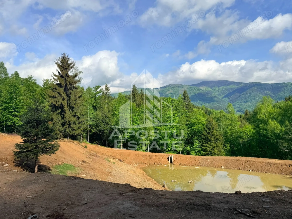 Teren pentru Resort, Glamping sau Cabane de Vanzare Lupeni – 18.000 mp cu Lac - Imagine 3