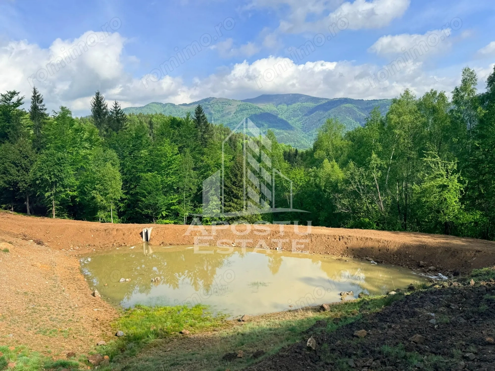Teren pentru Resort, Glamping sau Cabane de Vanzare Lupeni – 18.000 mp cu Lac - Imagine 4