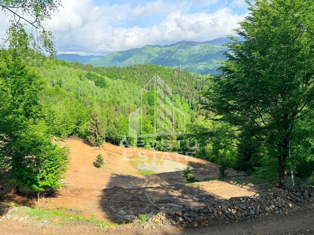 Teren pentru Resort, Glamping sau Cabane de Vanzare Lupeni – 18.000 mp cu Lac - Imagine 5