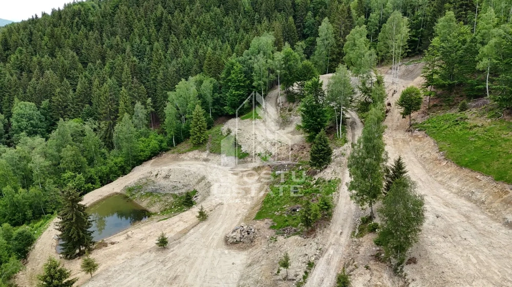 Teren pentru Resort, Glamping sau Cabane de Vanzare Lupeni – 18.000 mp cu Lac - Imagine 6