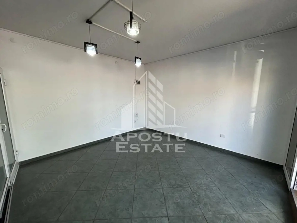Spatiu Comercial de Vanzare Timisoara Lipovei – 2 Spatii + Casa, Teren 463 mp - Imagine 2